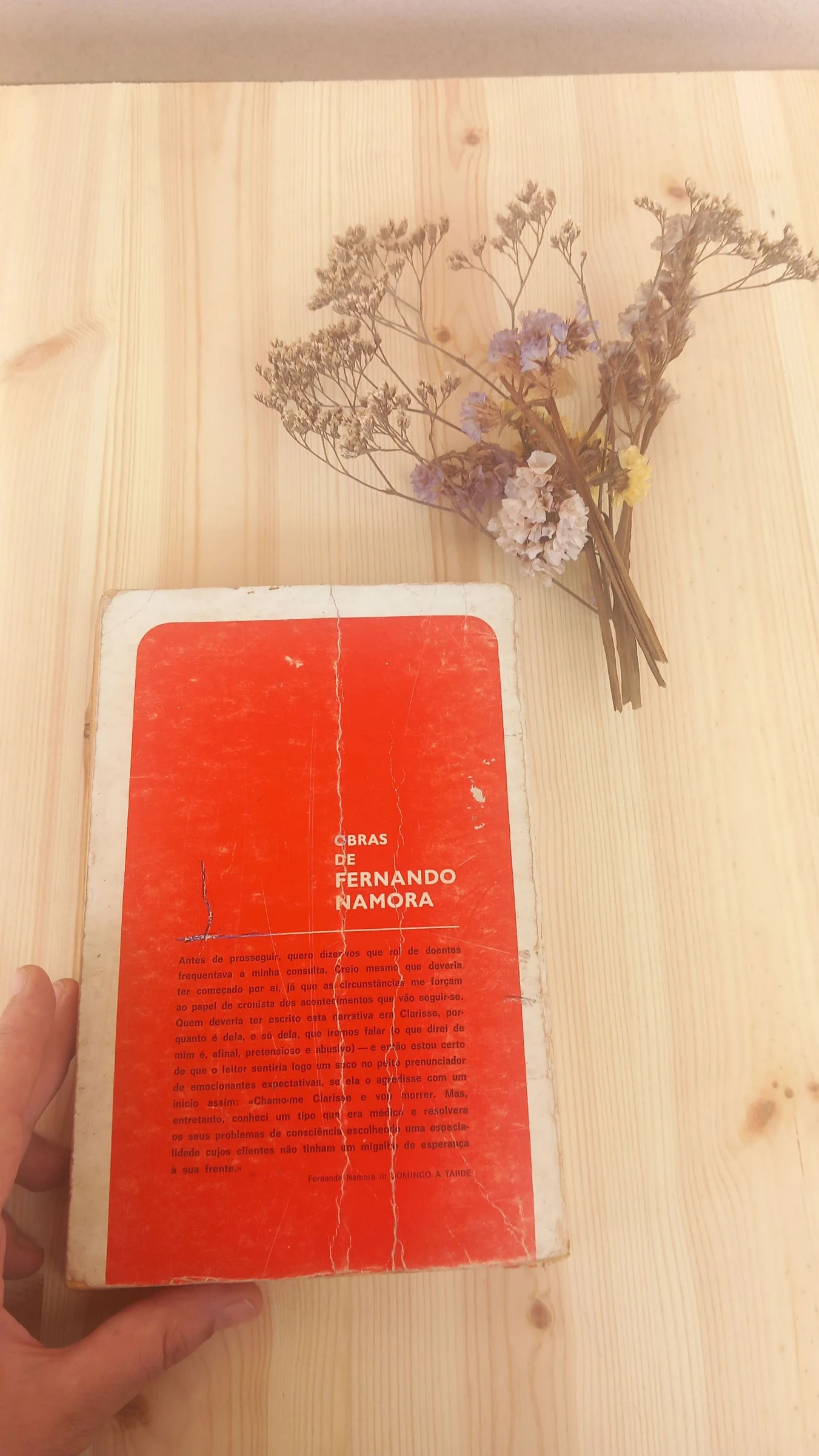 Domingo à Tarde, Fernando Namora | Editora: Livraria Bertrand – photo 2